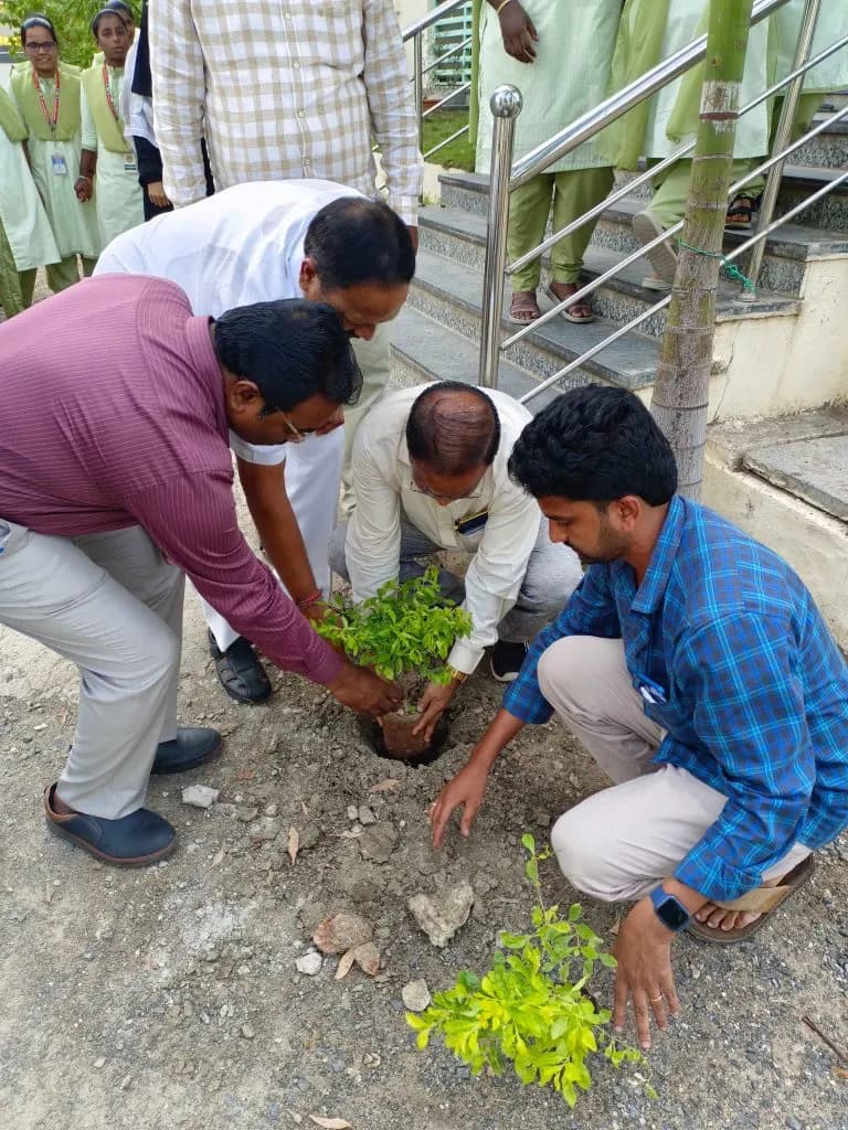 Tree Plantation